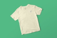 a white t - shirt on a green background